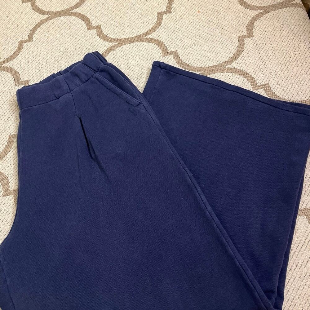 Aerie Street Trouser Cropped Wide leg Pleated front pockets pants, size large